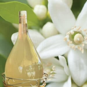 FLORAL WATERS - MOLASSES